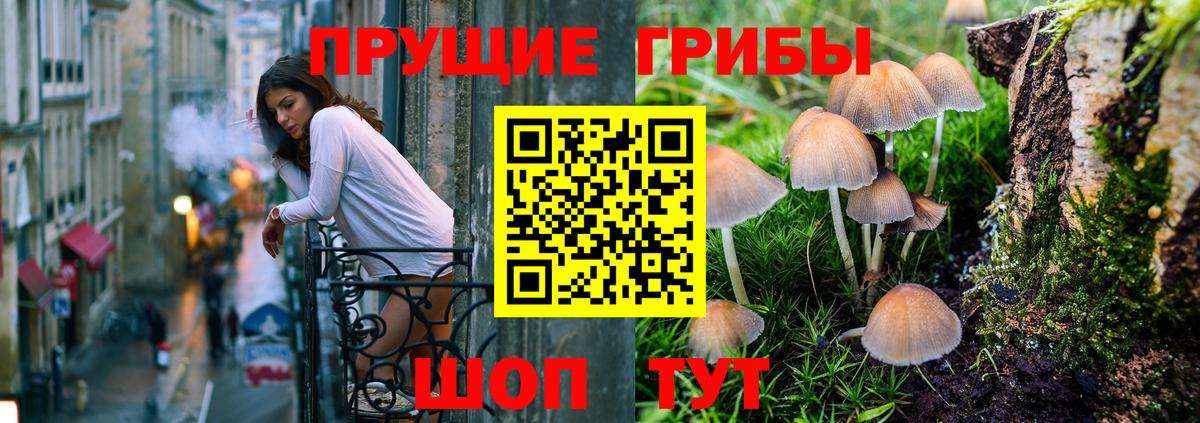 Псилоцибиновые грибы мицелий Вязьма