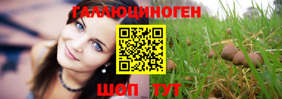 Галлюциногенные грибы ЛСД  Вход с VPN  Вязьма 